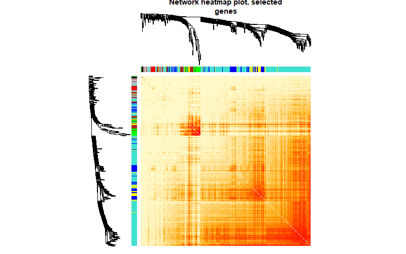 network heatmap plot